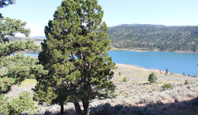 Relax & unwind in the mountains with a beautiful view of Newlan Creek Reservoir