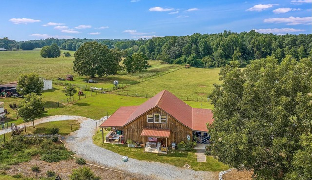 Relax & unwind while you experience the farm with Highland cows & alpacas!