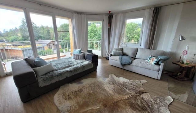 Relax with a view of Mont Blanc and Lake Geneva