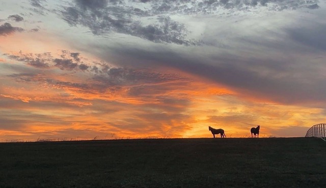 Relax with the whole family at Puckett’s View- Potosi, MO - Home Away From Home.
