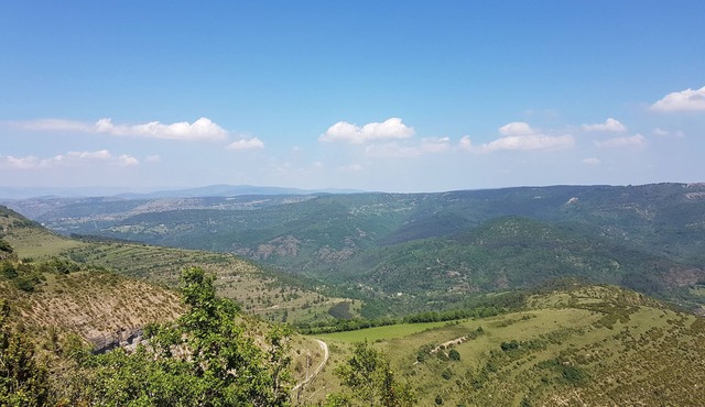Relaxation and nature by the river.