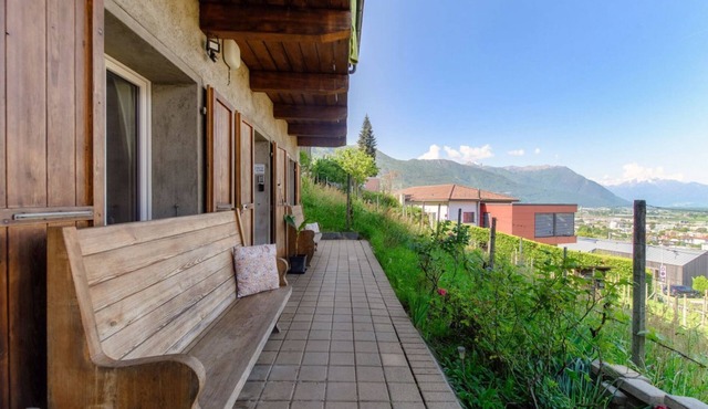 Relaxation in the Bellinzona vineyards (Casa tra le Vigne)