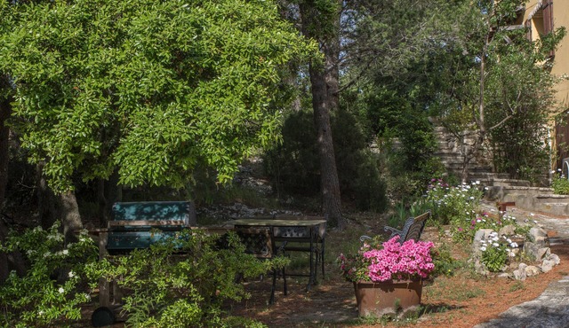 Relaxation, leisure and well being in pine forest, swimming pool, park, panoramic view