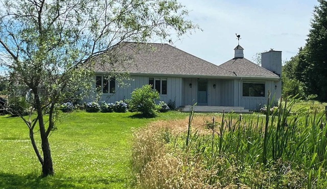 Relaxed Dog Friendly Coastal Retreat