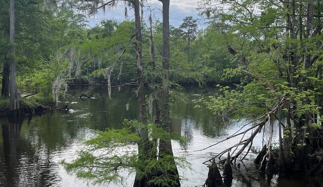 Relaxing Black River- Riverfront Retreat