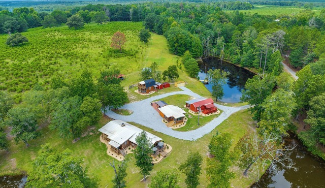 Relaxing Buena Vista Getaway w/Lush Lake Views