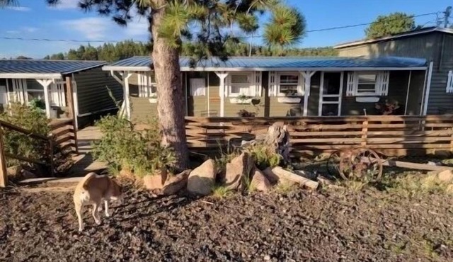 Relaxing Cabin in the heart of Red Feather Lakes!