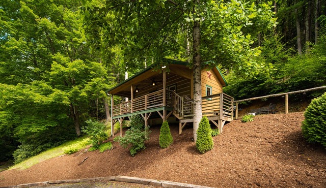 Relaxing cabin getaway only minutes from the Blue Ridge Parkway. Pet friendly!