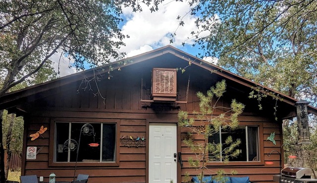 Relaxing cabin in bird sanctuary with 3 Bird Gardens & trails in Ramsey Canyon.