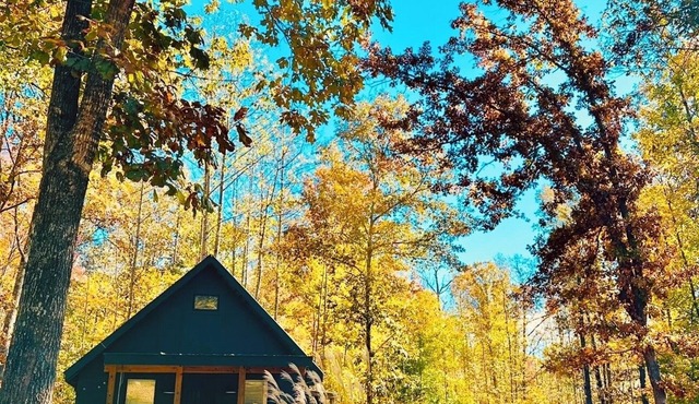 Relaxing cottage in the woods just minutes from wineries,hiking,restaurants.