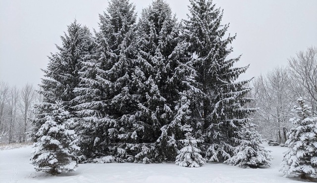 Relaxing Country Escape Close to Ski Resorts