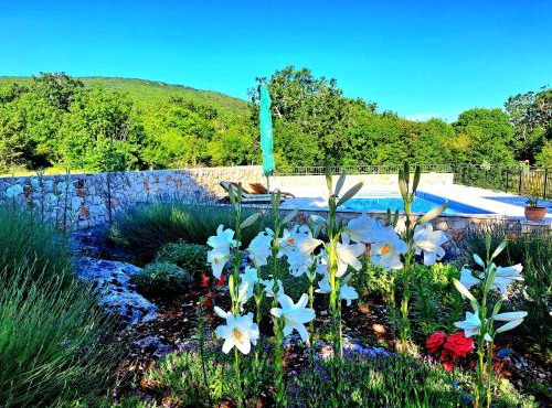 Relaxing Dalmatian house in village