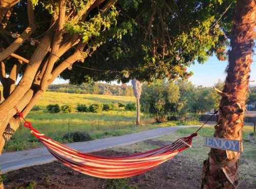 Relaxing Farm Vibes Near Safari Zoo, Legoland & Wineries Escondido