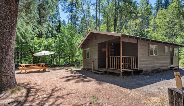 Relaxing Fawn Cabin on Coffee Creek in Trinity Alps