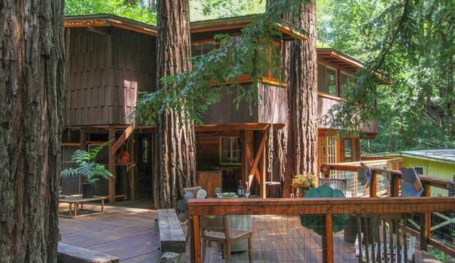 Relaxing Getaway in a Treehouse