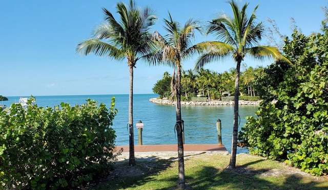 Relaxing Getaway Location to Explore the Keys