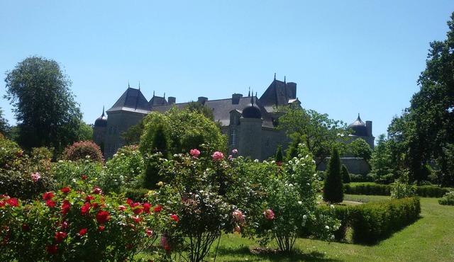 Relaxing holiday in the Château with its own park and lakescape