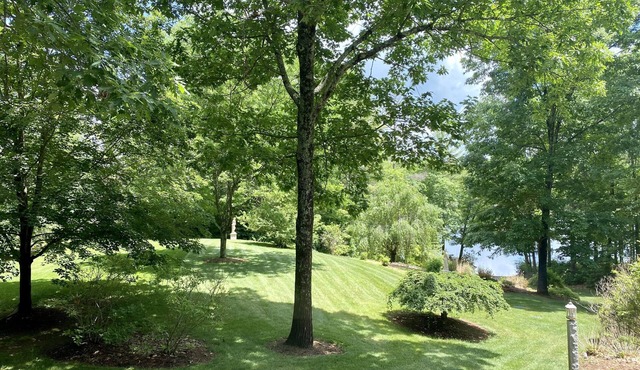 Relaxing LAKESIDE Guesthouse – Beach, AC, 2BR – Orange MA