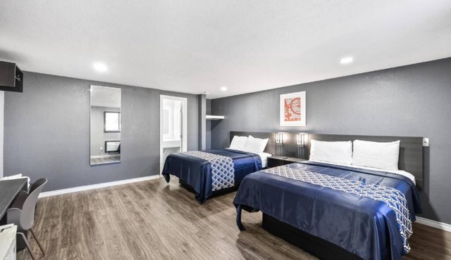 Relaxing Lodging Designed for Road Trip Enthusiasts Seeking Both Ease & Comfort