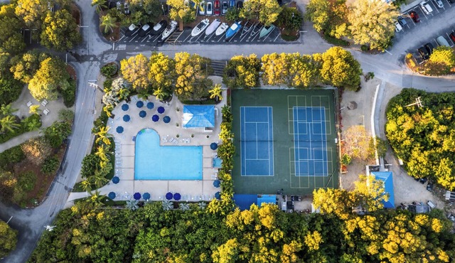 Relaxing Ocean View Units! Poolside Bar, Marina Dock & Coral Reef Adventures!