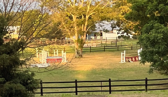 Relaxing, peaceful, and lush horse farm. Quiet, 30 acres, & close to everything!