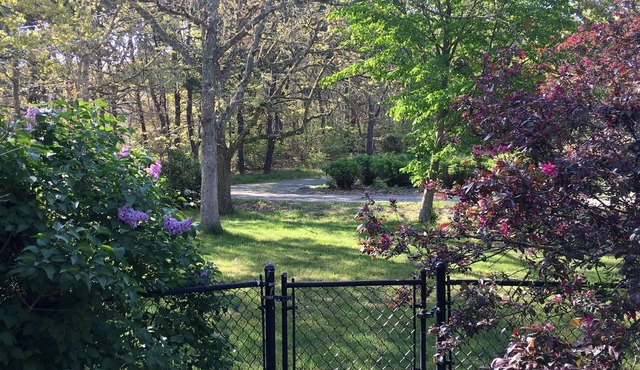 Relaxing, peaceful area close to beaches, downtown Chatham, and walking trails.