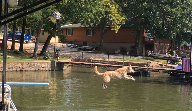 Relaxing pet friendly lake front home with large swim dock with 24' boat slip