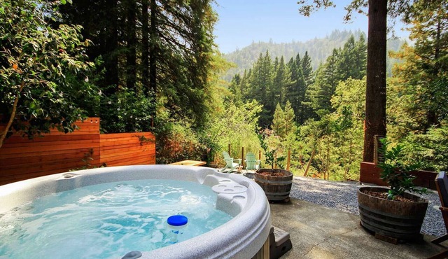 Relaxing Retreat in the Redwoods, Spa, Dog Friendly!