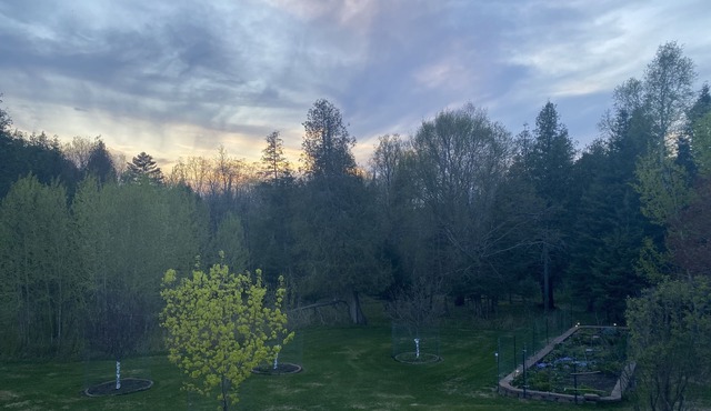 Relaxing retreat in the woods