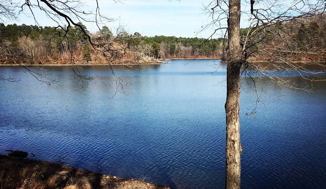 Relaxing Retreat on Lake Catherine in Hot Springs!