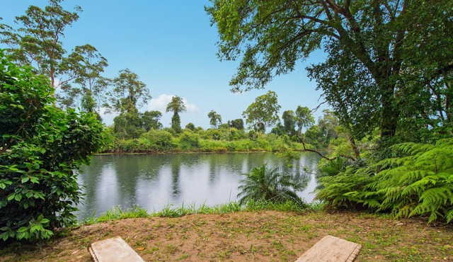 Relaxing river escape at Rollands Plains
