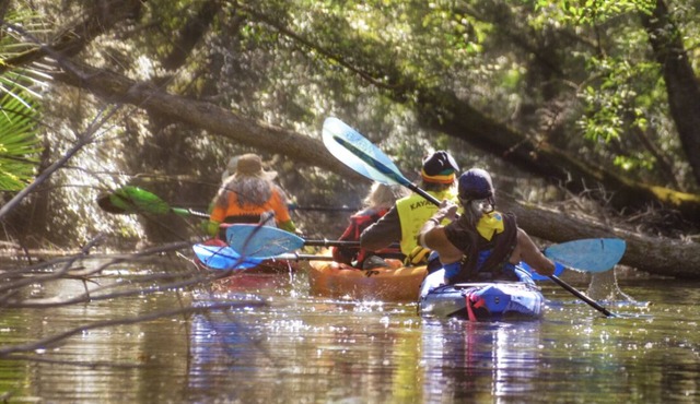 Relaxing River House