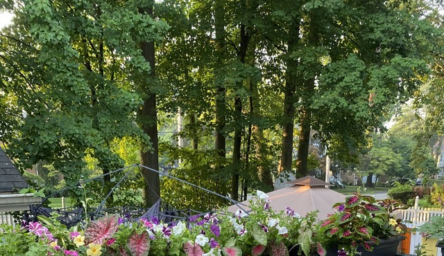 Relaxing room in private house close to New York City
