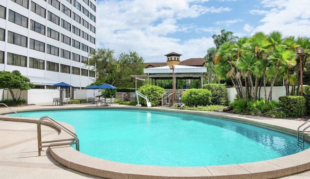 Relaxing Room with Pool Access - Perfect Tampa Stay Near the Airport
