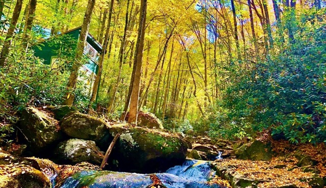 Relaxing Rustic Couples Getaway on Cattail Creek