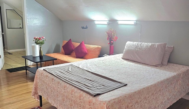 Relaxing shared place available near #U.City/Delmar big 1BR with attach Bath