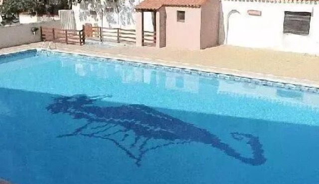 Relaxing stay in a pleasant, ideally located setting