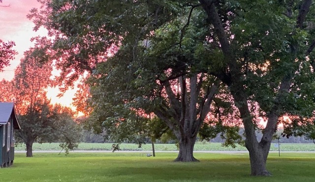 Relaxing Waterfront Lakehouse with pier. Kid friendly. Natchez close by.