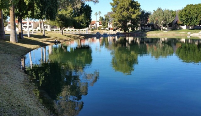 Relaxing Waterfront Oasis - Travel, Business, Travel Nurses, Sports, Medical