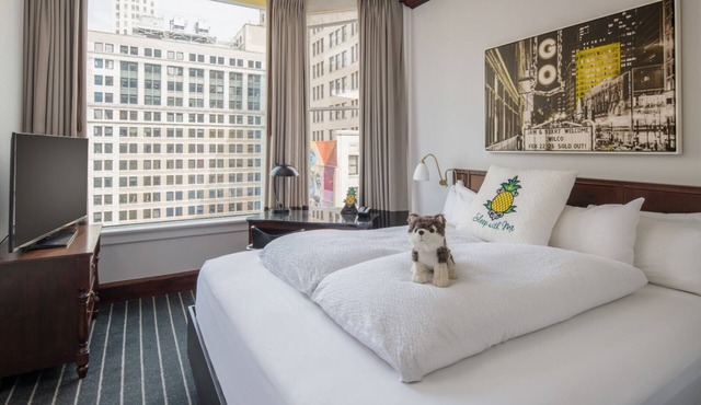 Reliance King Suite at Staypineapple, An Iconic Hotel, The Loop