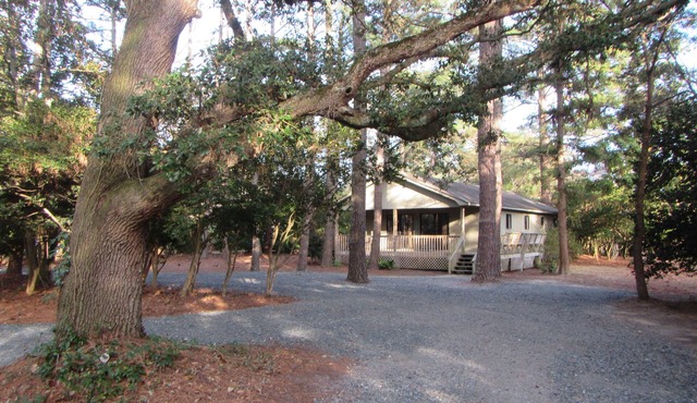 Remodeled cottage with plenty of outdoor space and privacy