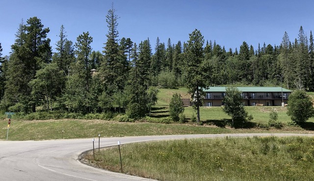 Remodeled Fully Furnished Barefoot Resort Condo by Terry Peak South Dakota!