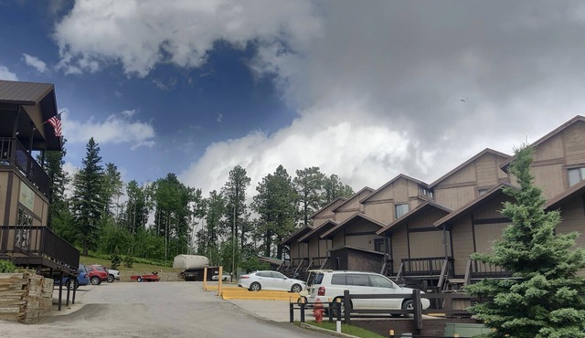 Remodeled Fully Furnished Barefoot Resort Condo at Terry Peak South Dakota!