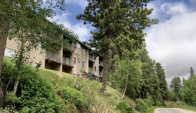 Remodeled Fully Furnished Barefoot Resort Condo at Terry Peak South Dakota!