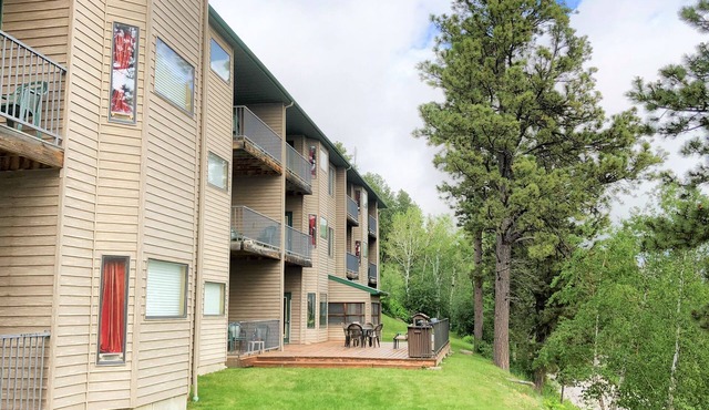 Remodeled Fully Furnished Barefoot Resort Condo at Terry Peak South Dakota!