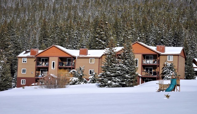 Remodeled Gem 3 bedrooms On the Free Shuttle Route with views in Blue River