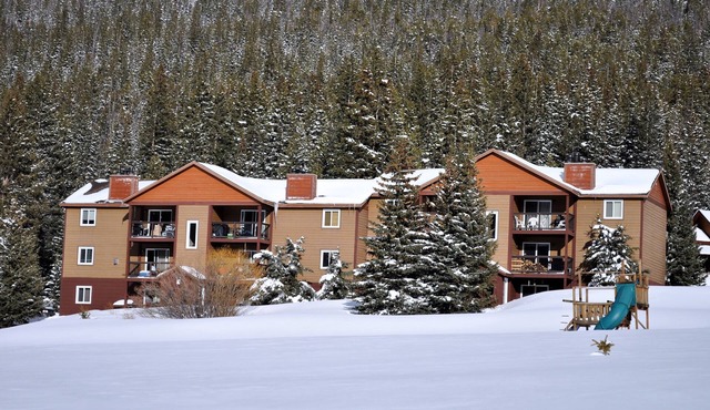 Remodeled Gem 3 bedrooms On the Free Shuttle Route with views in Blue River