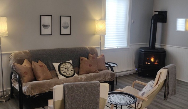 Remodeled Historical Home Apartment in the Heart of Barry's Bay
