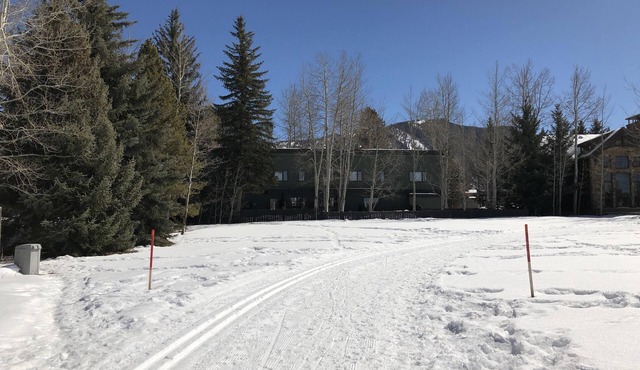 Remodeled Holiday Rental on Aspen Cross-Country Trail