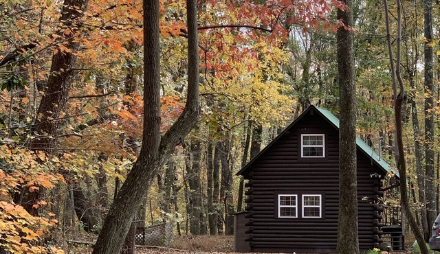 Remodeled log cabin near DeSoto Falls & Mentone